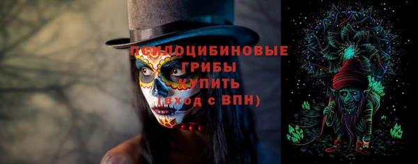 гидропоника Алзамай