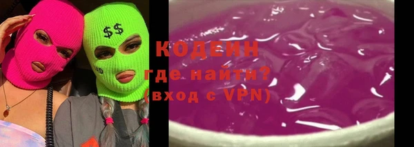 гашик Алексин