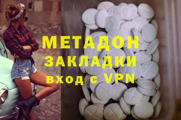 гашик Алексин