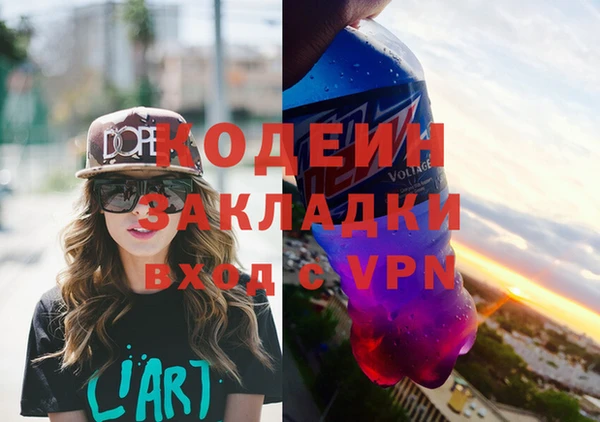 гашик Алексин